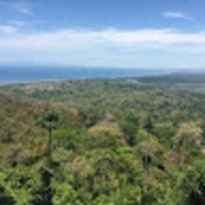 Meet your Posher, Hope